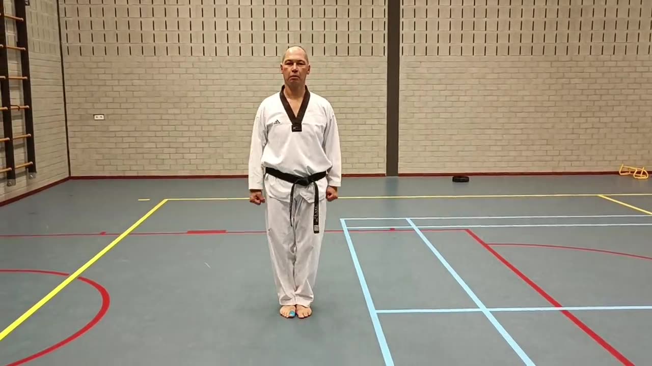 Voorbeeld van Taegeuk Sam Jang