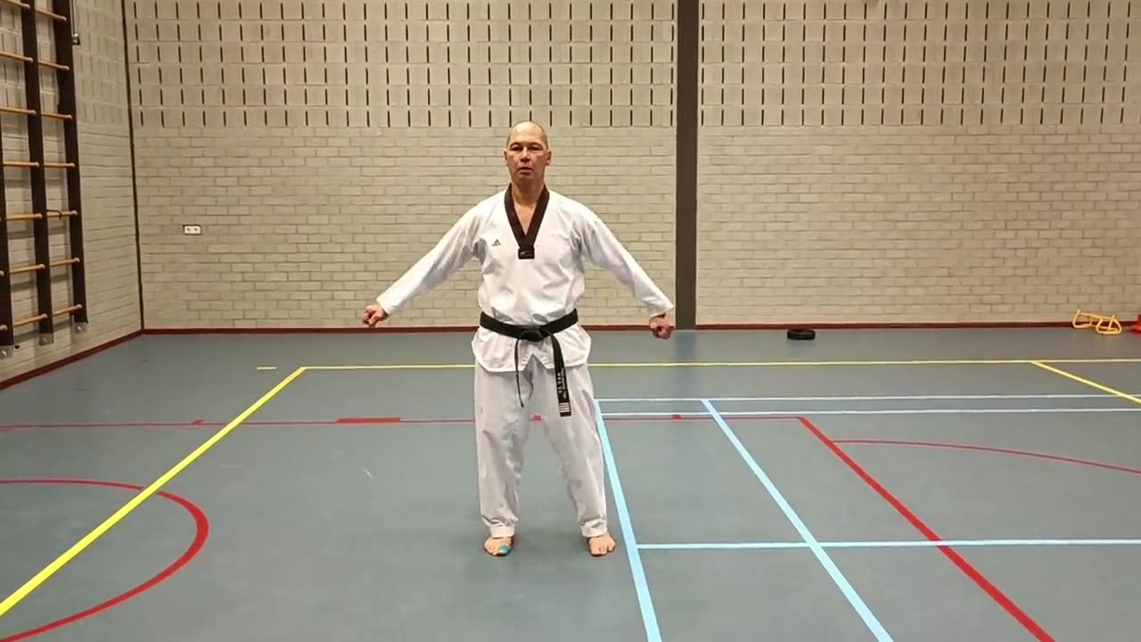 Voorbeeld van Taegeuk I Jang