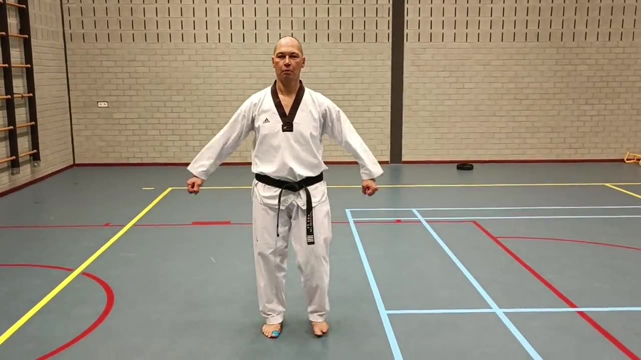 Voorbeeld van Taegeuk Il Jang